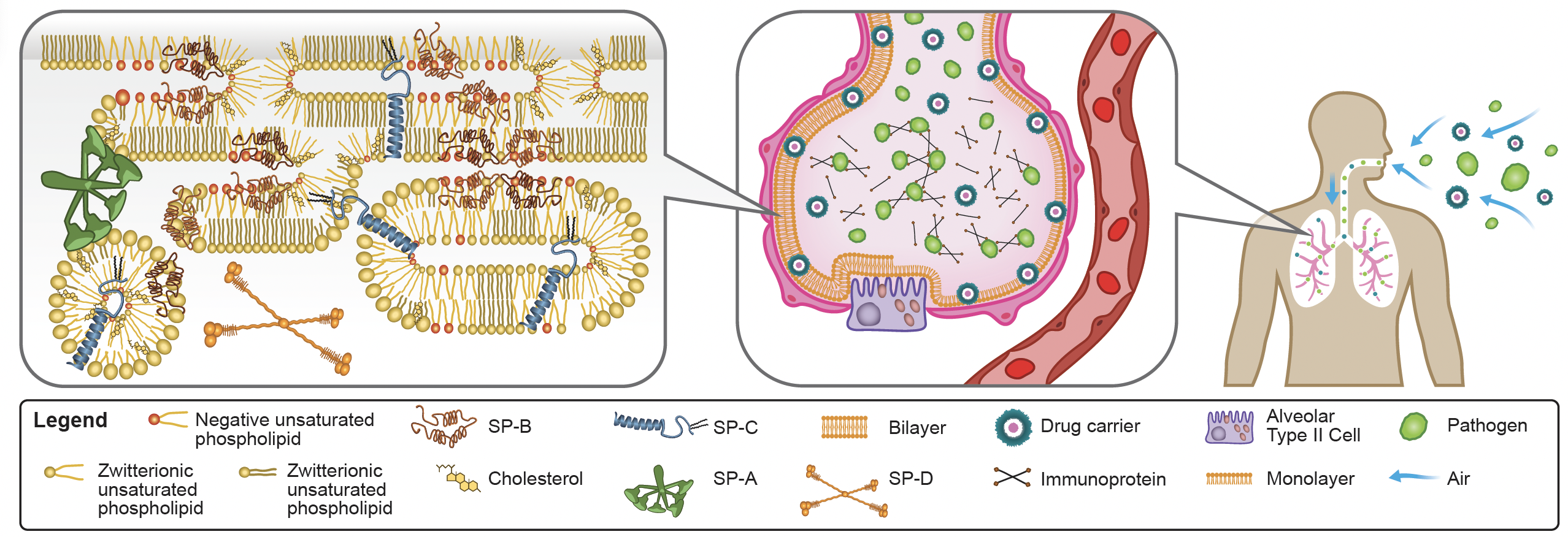 Seeking to Hire a Postdoctoral Research Fellow